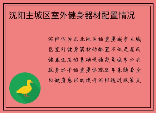 沈阳主城区室外健身器材配置情况